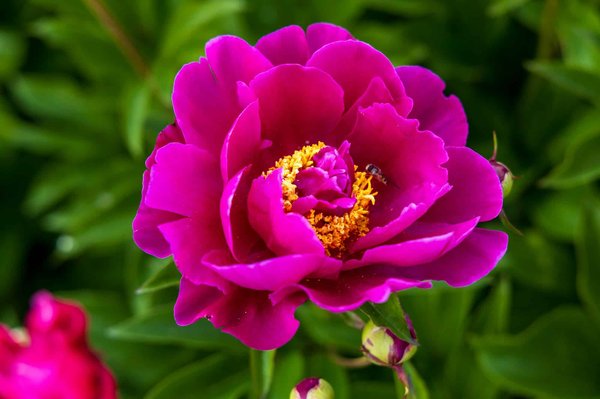 Des objets déco éco-responsables pour une maison verte