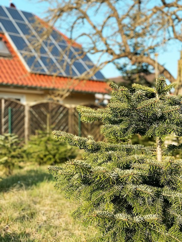 10 astuces pour créer une maison respectueuse de l'environnement